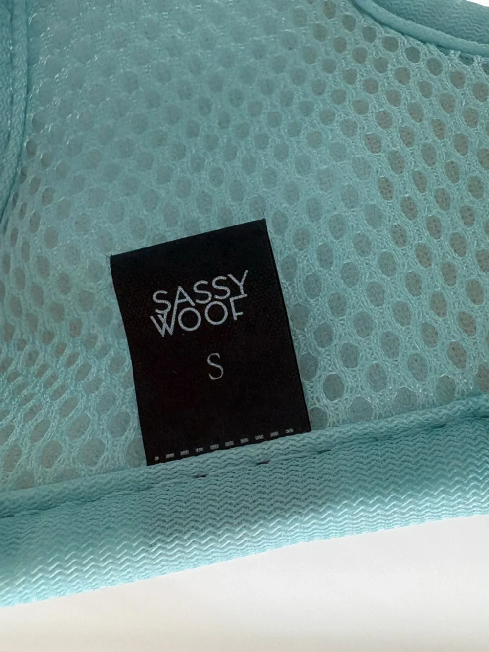 Sassy Woof x Care Bears Blue Dog Harness